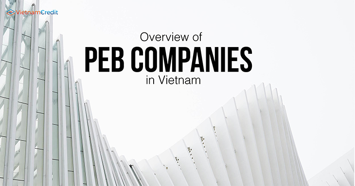 Overview of PEB companies in Vietnam